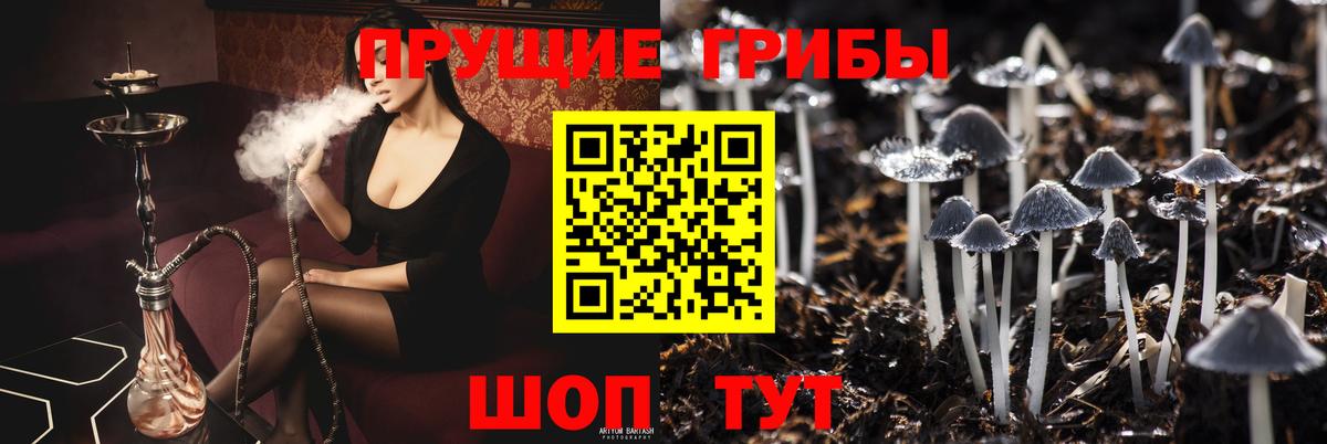 Галлюциногенные грибы Psilocybe Анапа