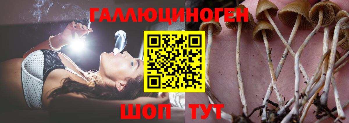 Анапа  Галлюциногенные грибы MAGIC MUSHROOMS  где можно купить   Вход с VPN 